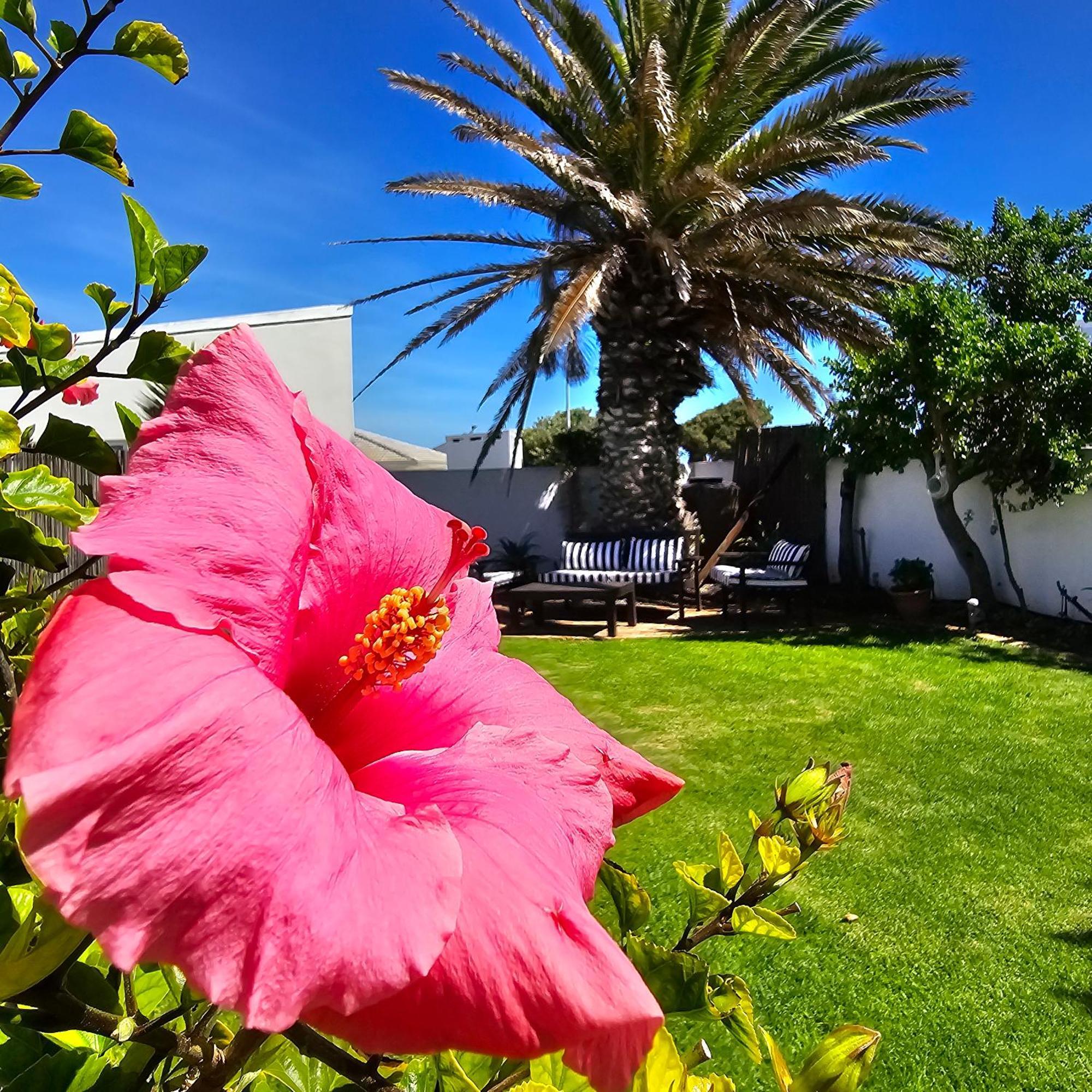 Swept Away Guesthouse - No-Loadshedding Yzerfontein Exterior foto
